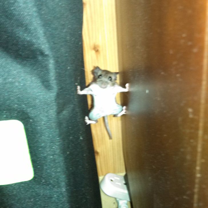 6860345957882d314191fbd9f2