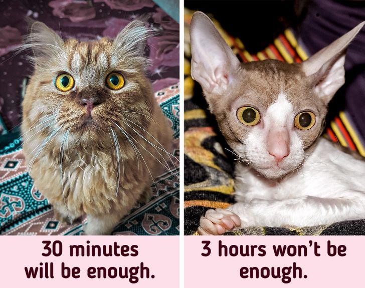 6867935657893bc977123b38cd