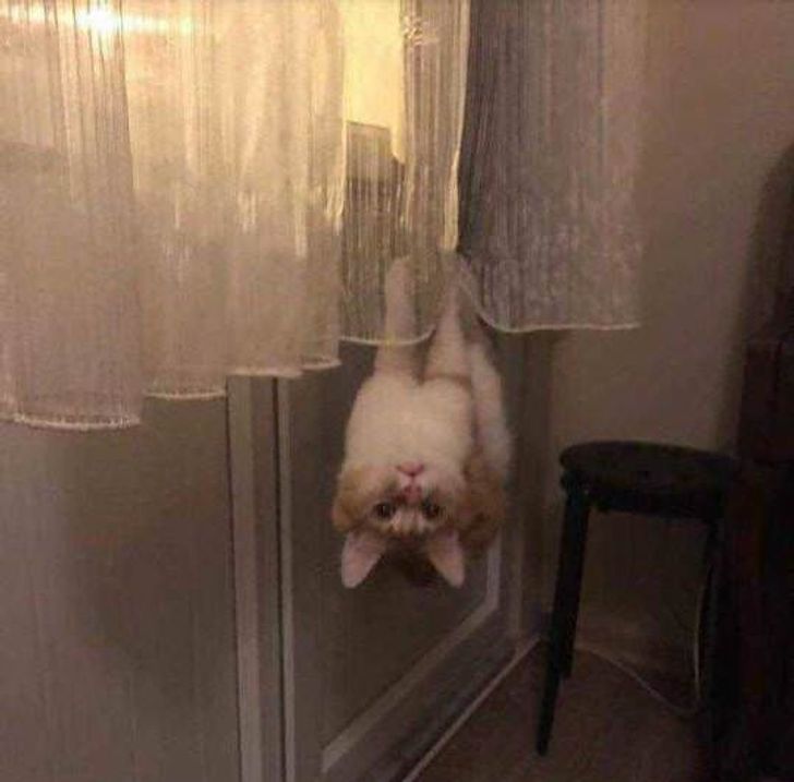 686f365d479c4c3c207e7f5851