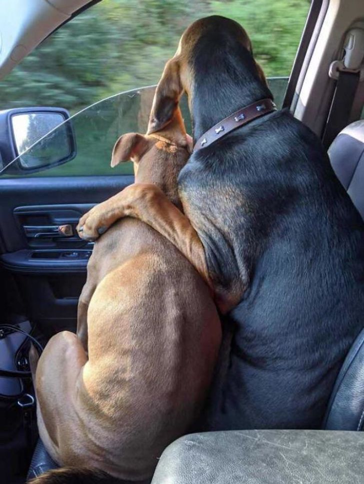 6876ce594abb734502ac38c05f