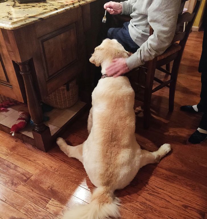 6876d055adadcc99cb34b54a1c