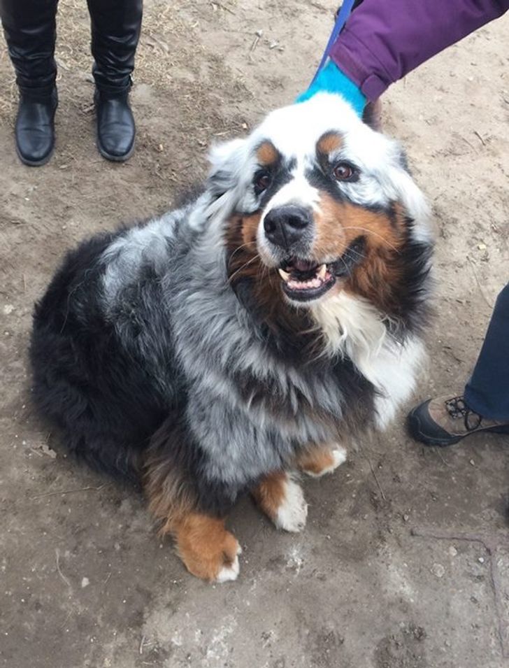 6878db5b5da96598ca37887e7b