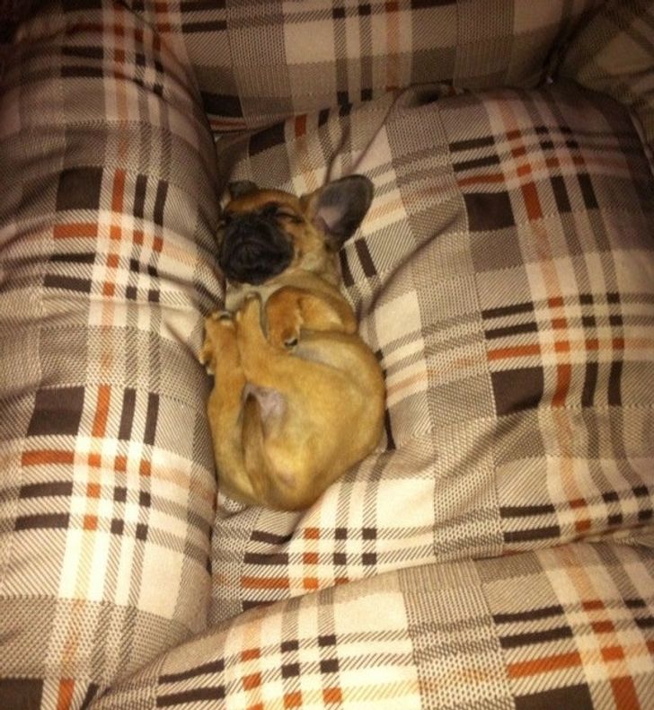 687a6551e0a47055dd03242012