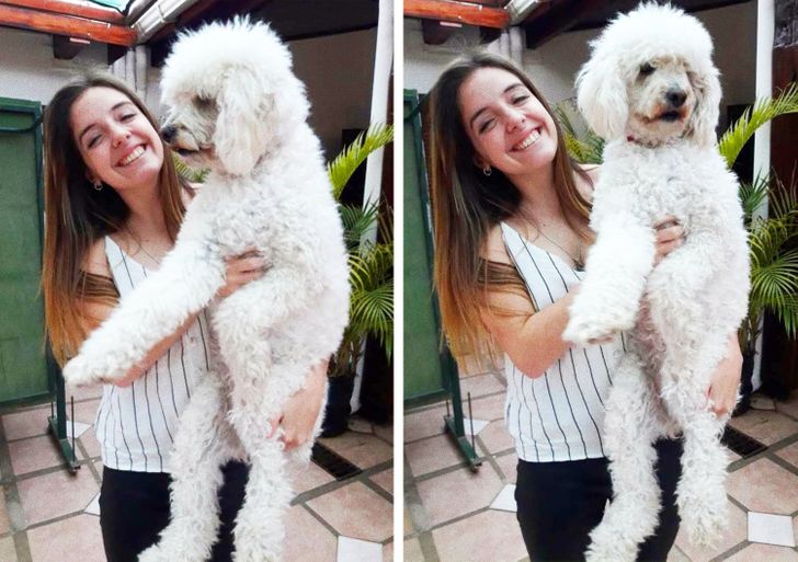 687d075db495bdcd98218392a7