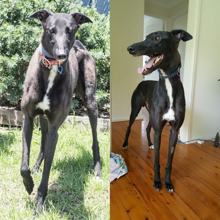 6883cd501eb63387a0dc0bec59