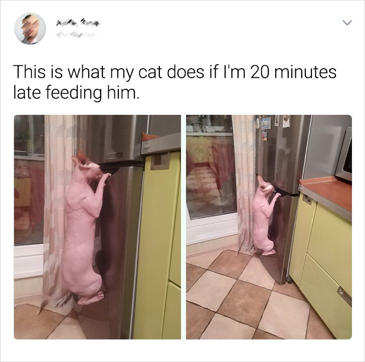 68840c570391d13cc708767225