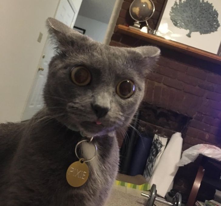 68848f5cd08a16def68cce64c7