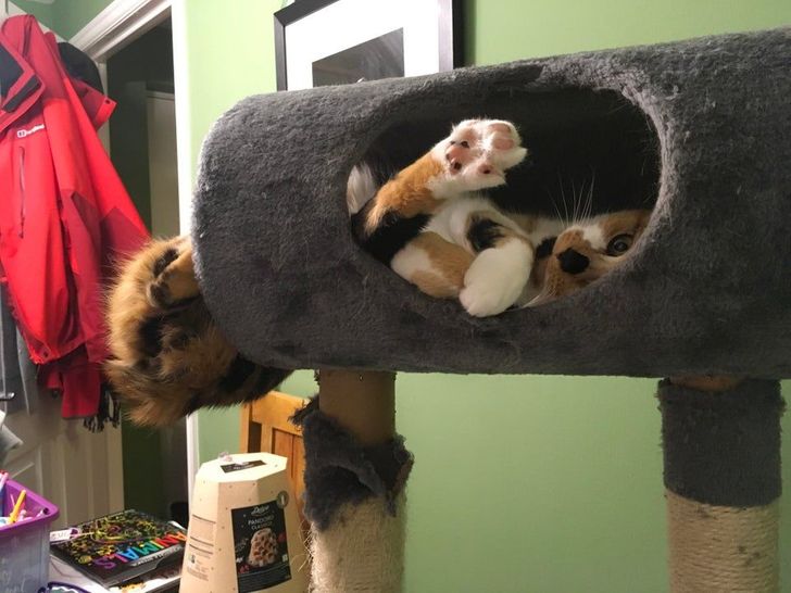 6889955720a2f1ecd9db557a3a