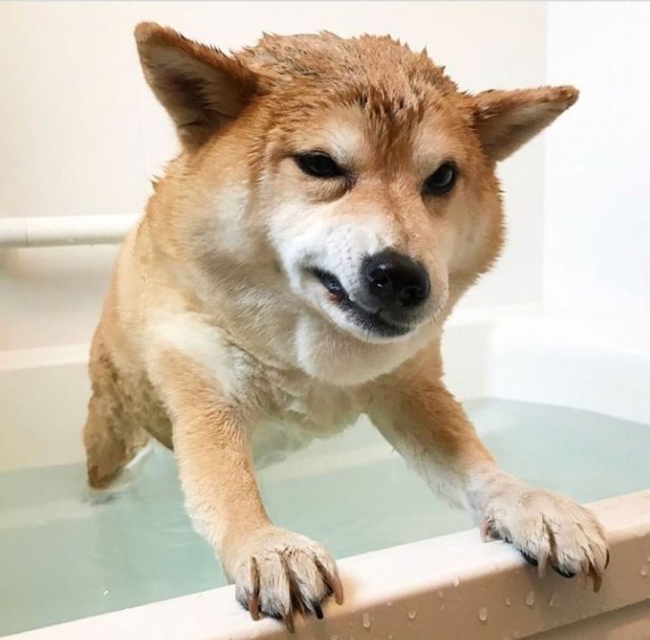 688bca541d8358d681241a1f6c