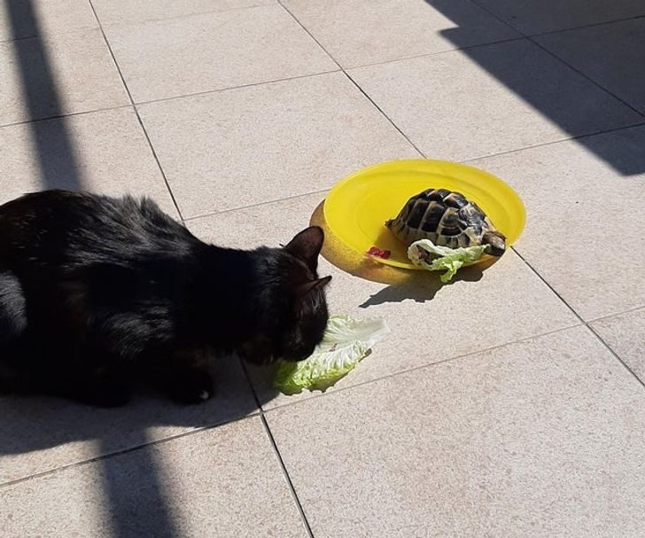 68a0795502bd63f6bb915753bb