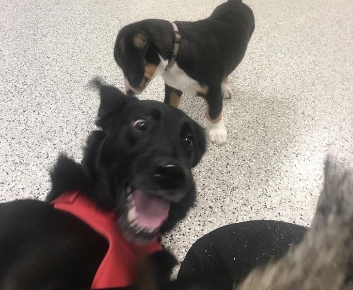 68a0f45fa2a05960d350a323a4