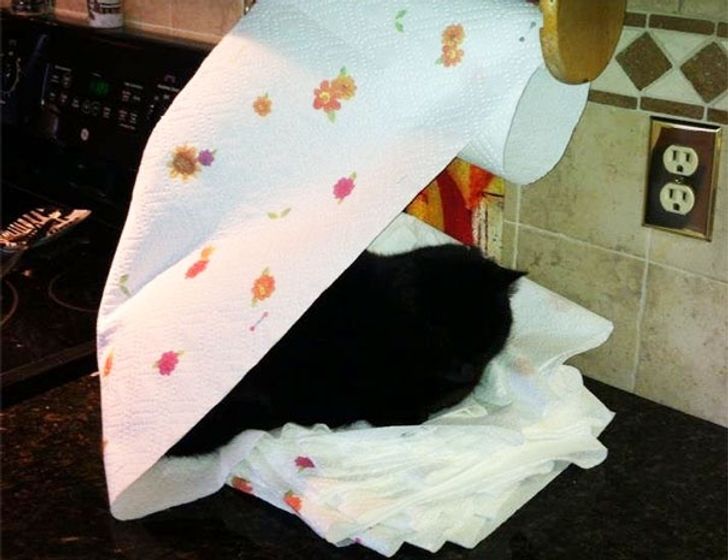 68a3de5c918952a7c6f611c90c