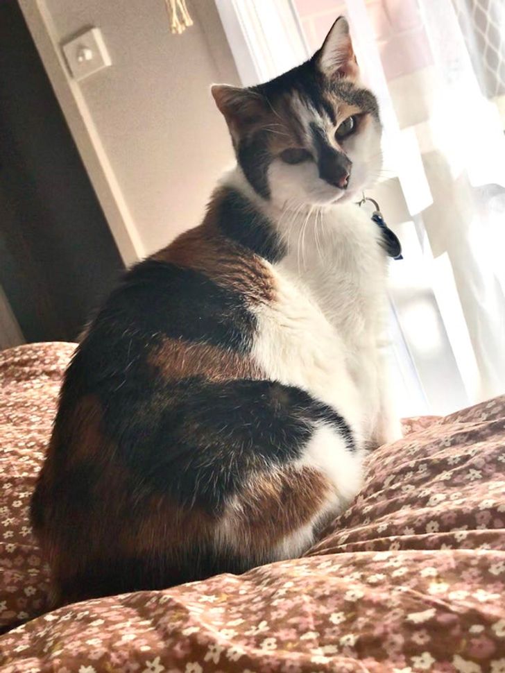 68a78e58ed9d0521149bba0ebf