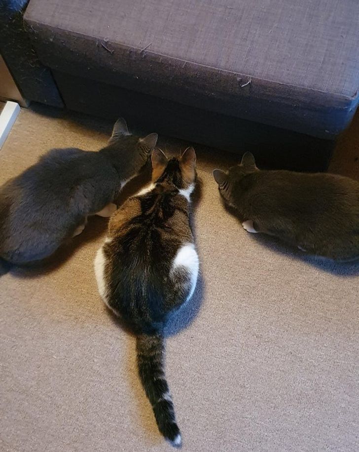 68aca859939965edbb7bd180a5