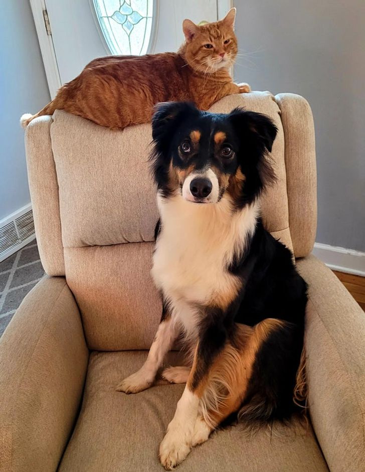 68b3e05195a245a93cada3da4d