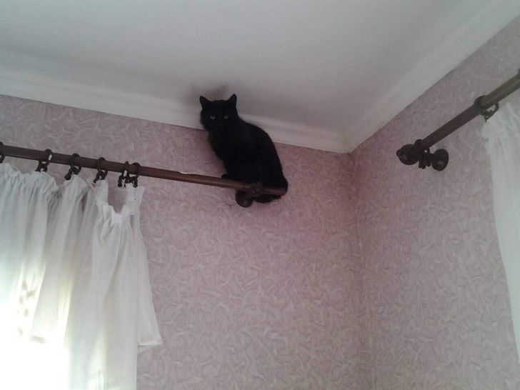 68c885581690355b3b9e138556