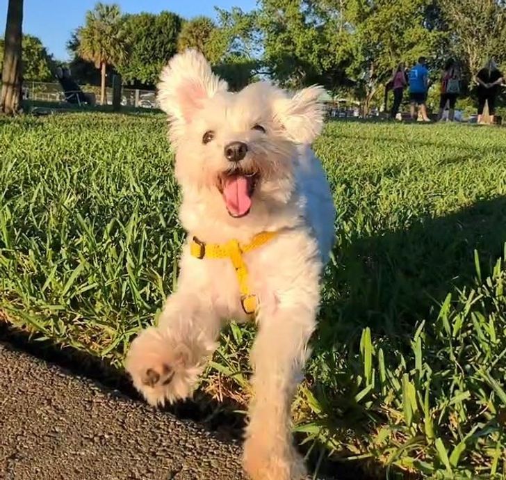 68cd09575e81f3d58c0aae054a