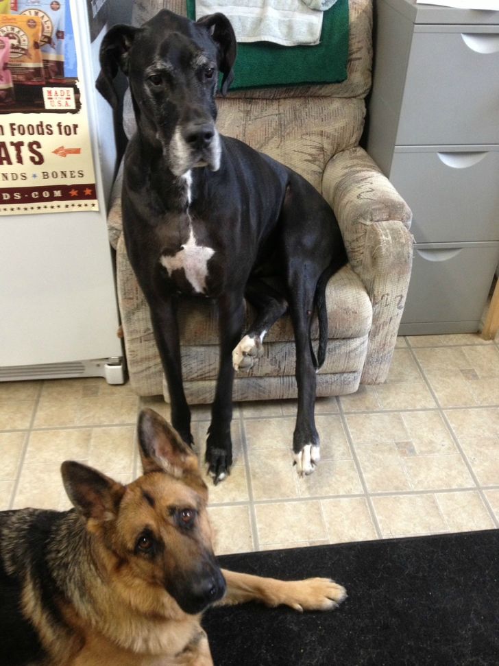 68d56a512c9523ac866b213aaa