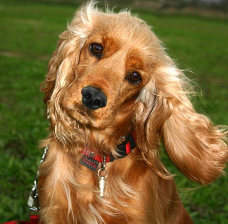 68d71a5669a41f2b162ac8b0ff