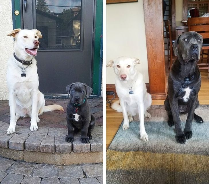 68e0025106b96964e501345544