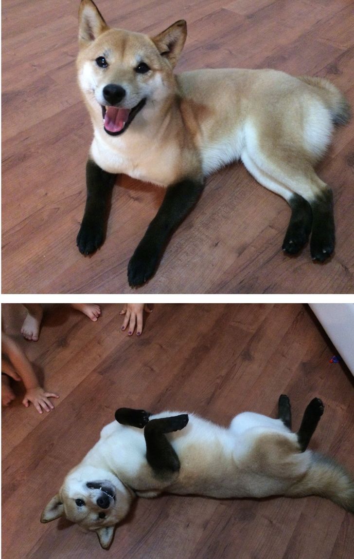 68e18950c8b3803aee50407162