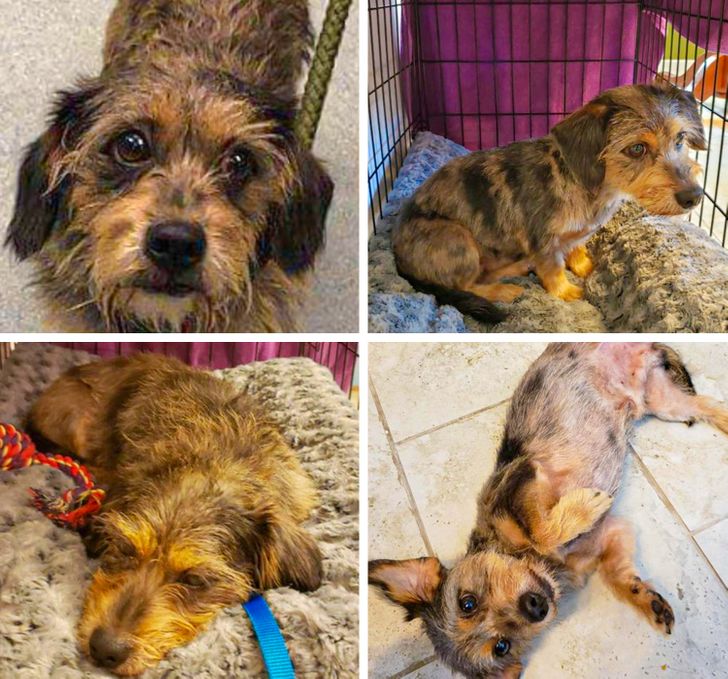 68eb515ab1a54d8dd46e5d2105