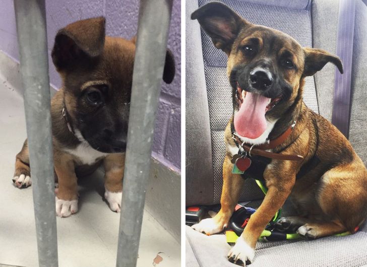 68f81c505ba22a5425bbe5718a