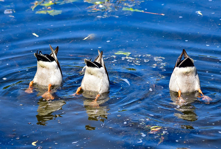 68fb8258e591e813d4c7f9561a