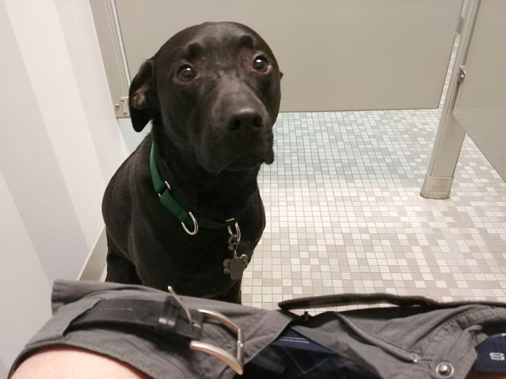 68fc165a49aea0ab6609538650