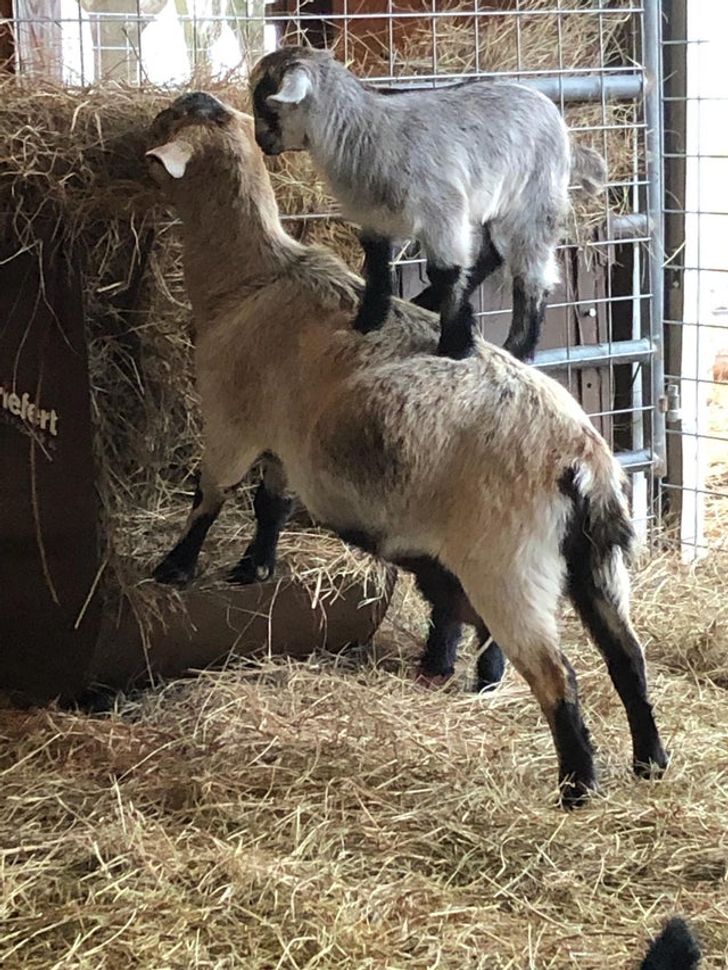 69017957e6a81b757b981a3773