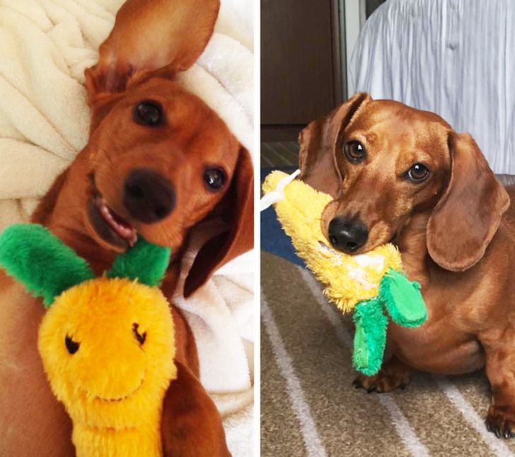 69037e5a9c8a60b51a3c324f57