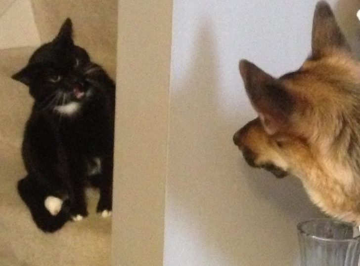 6906e3503f9757db77c231659f