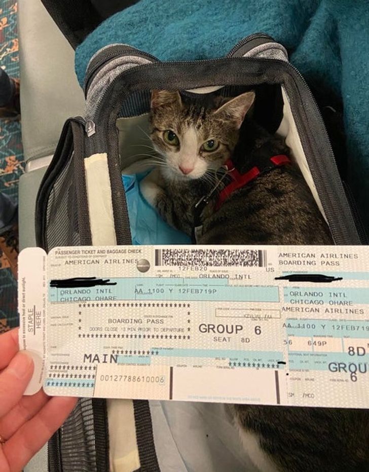 690b3358028a1ad14f97bed4bf