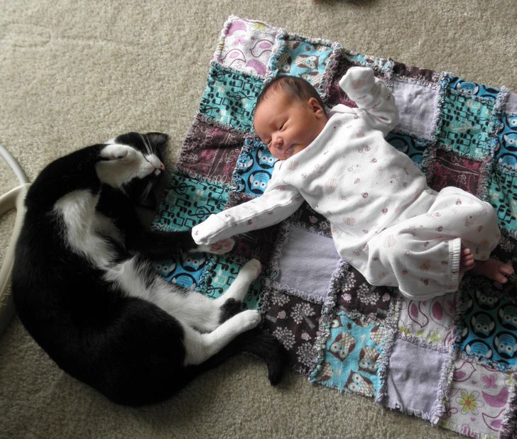 690b3c56f4a22c95d02471dcec