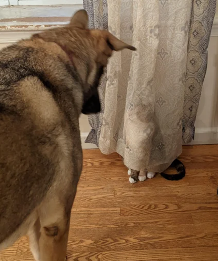 690e155118b34c5d3b1fe76581-1