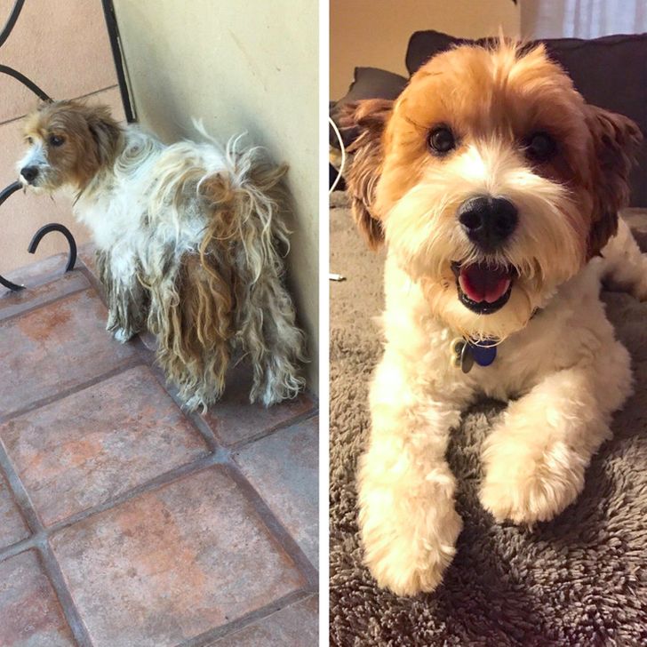 6910cd58219db9dfc8792214ec