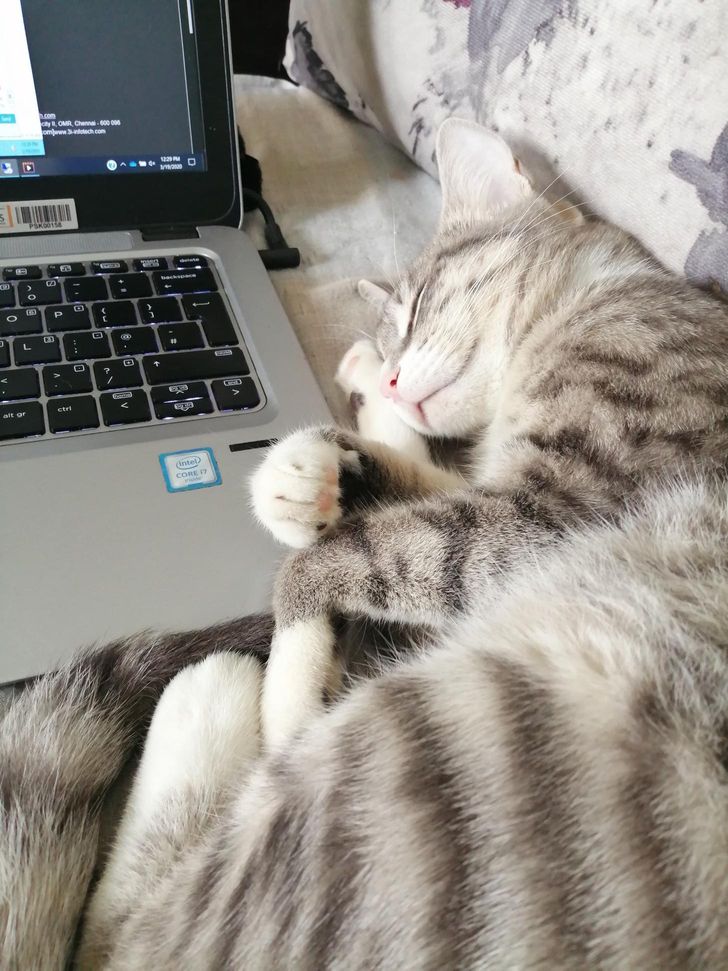 6911c95e98b8582996fd90a88f