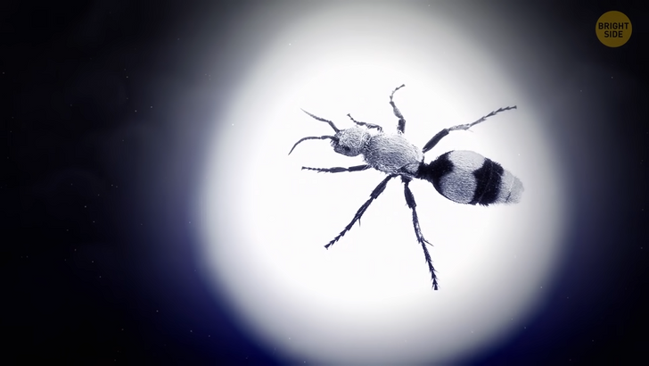 691480538fa131b977f95d5555