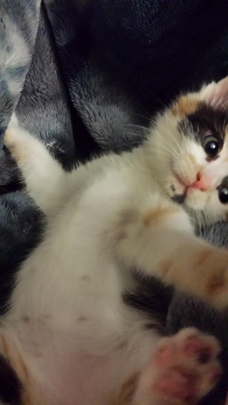 691a4f5498be3e3840261d3ddb