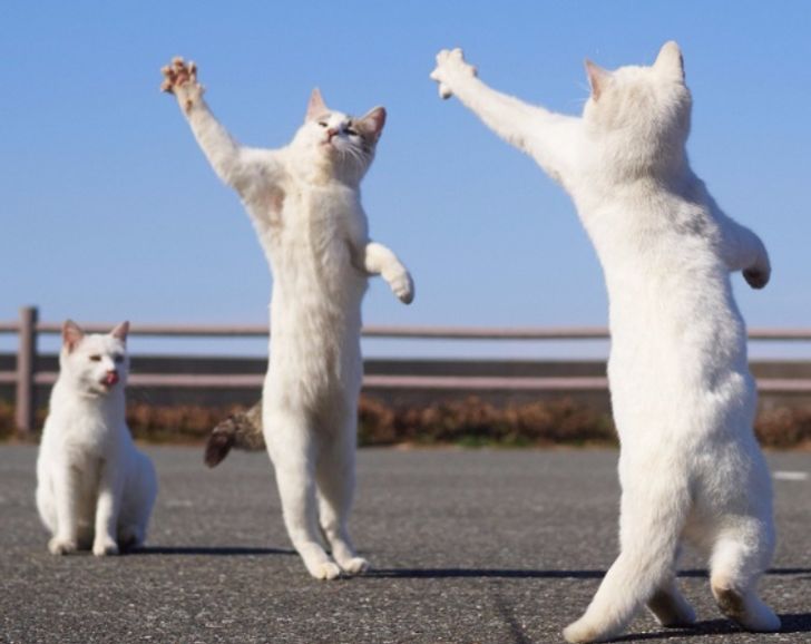 6922055a72ae32ec19625ba31d