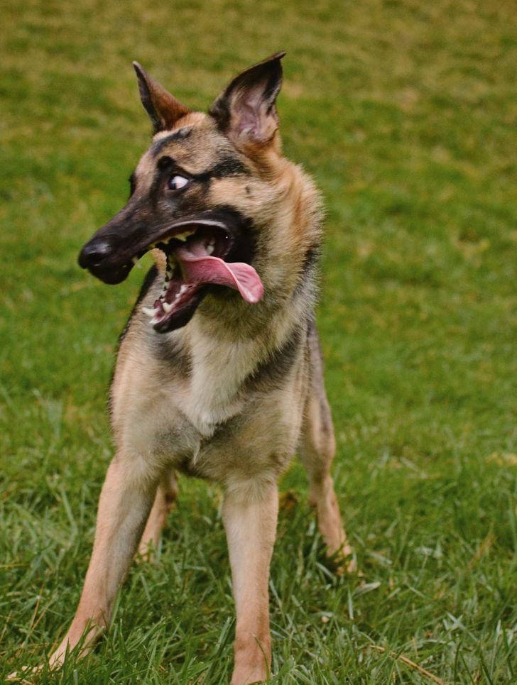 6926425325ab15eff263477744