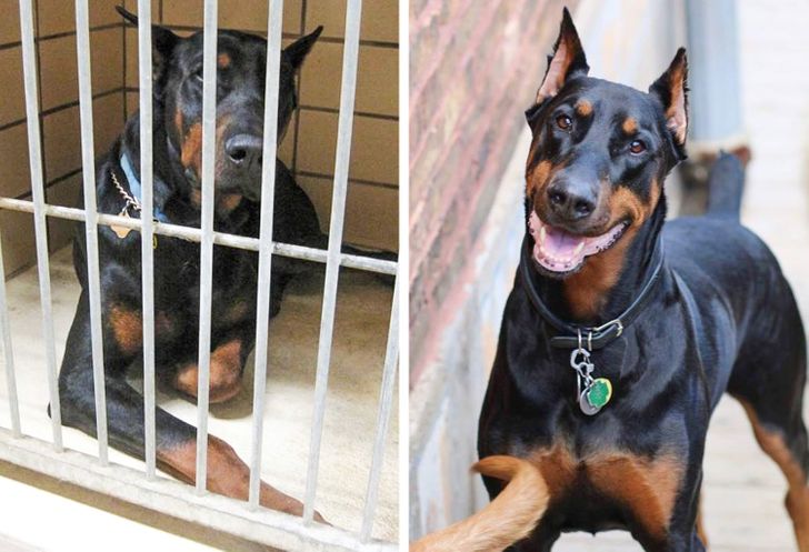 6928b550e3b75b2384140fb0f1