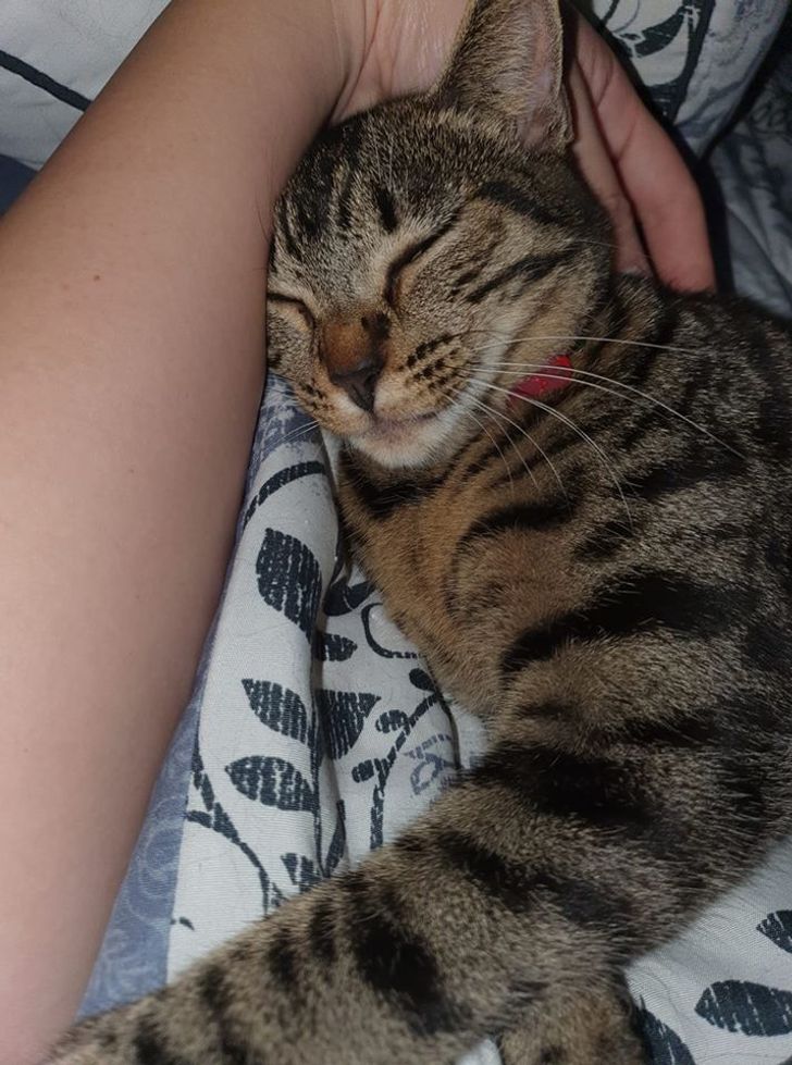 69333254689623569b2f794ec3