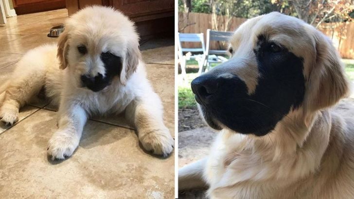 6934a157a4aecfde11eda2999b 6934a157a4aecfde11eda2999b