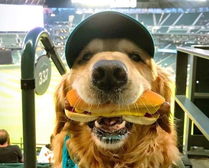 693a1151df907247f7d60c6b0e