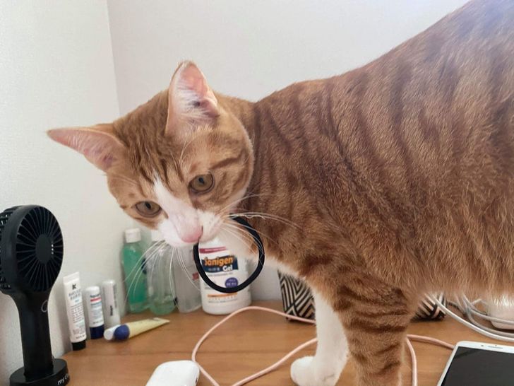 693ad1585194911adb4fdf7196