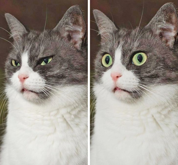 693bee5344bcc6da10ac602d13