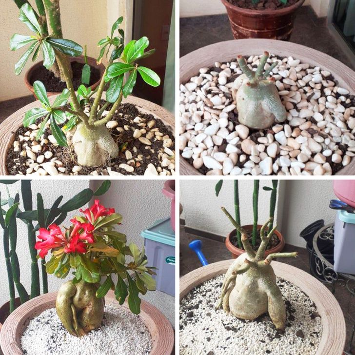 693d9350639e43719c53bfd234