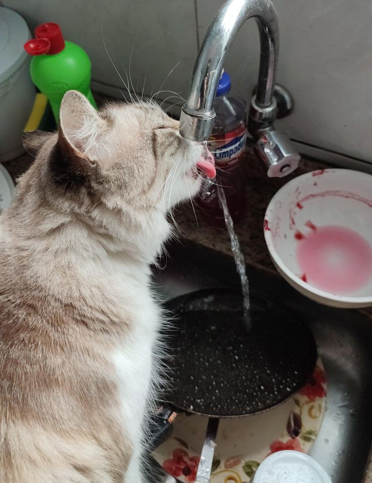 69407657939a808babc2ea5ac6