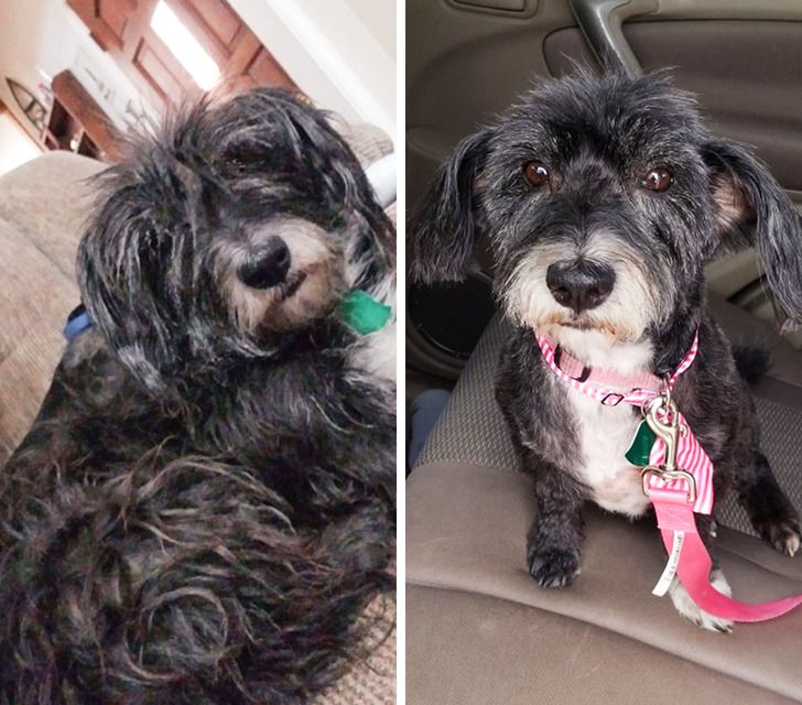 6943085b2f9724d16e42896424